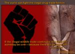 Global March for Elephants and Rhinos